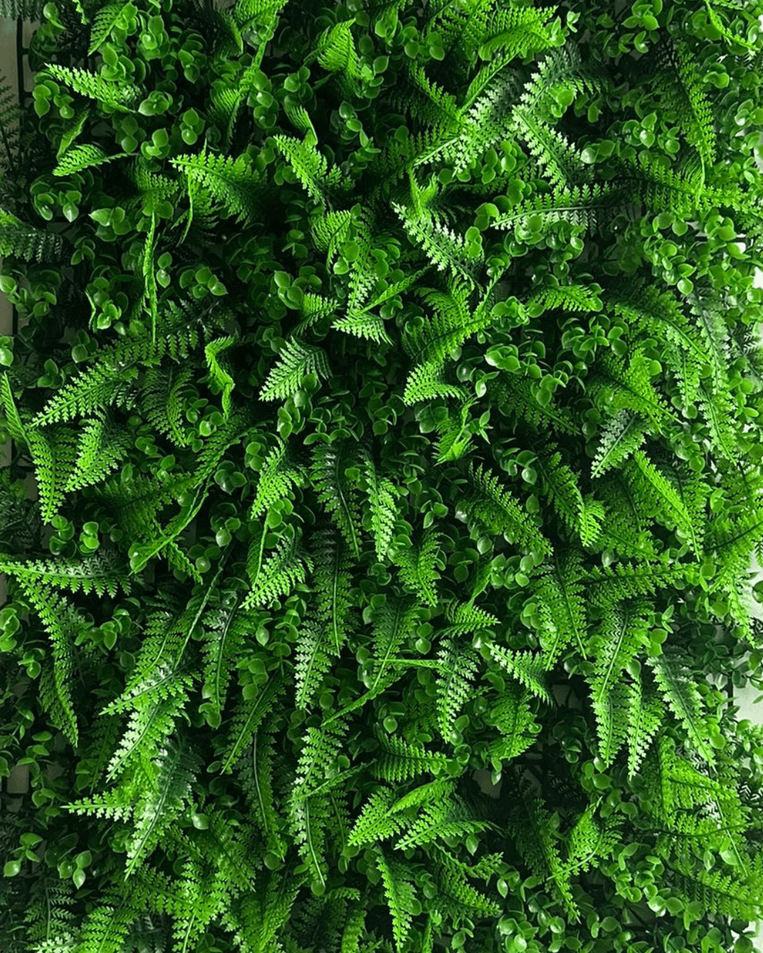 Jardín vertical Silvestre