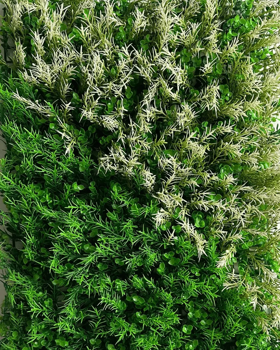 Jardín vertical Bruma