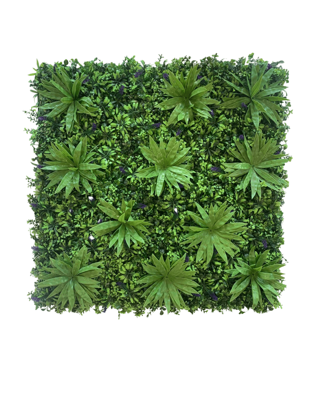Jardín vertical Aura