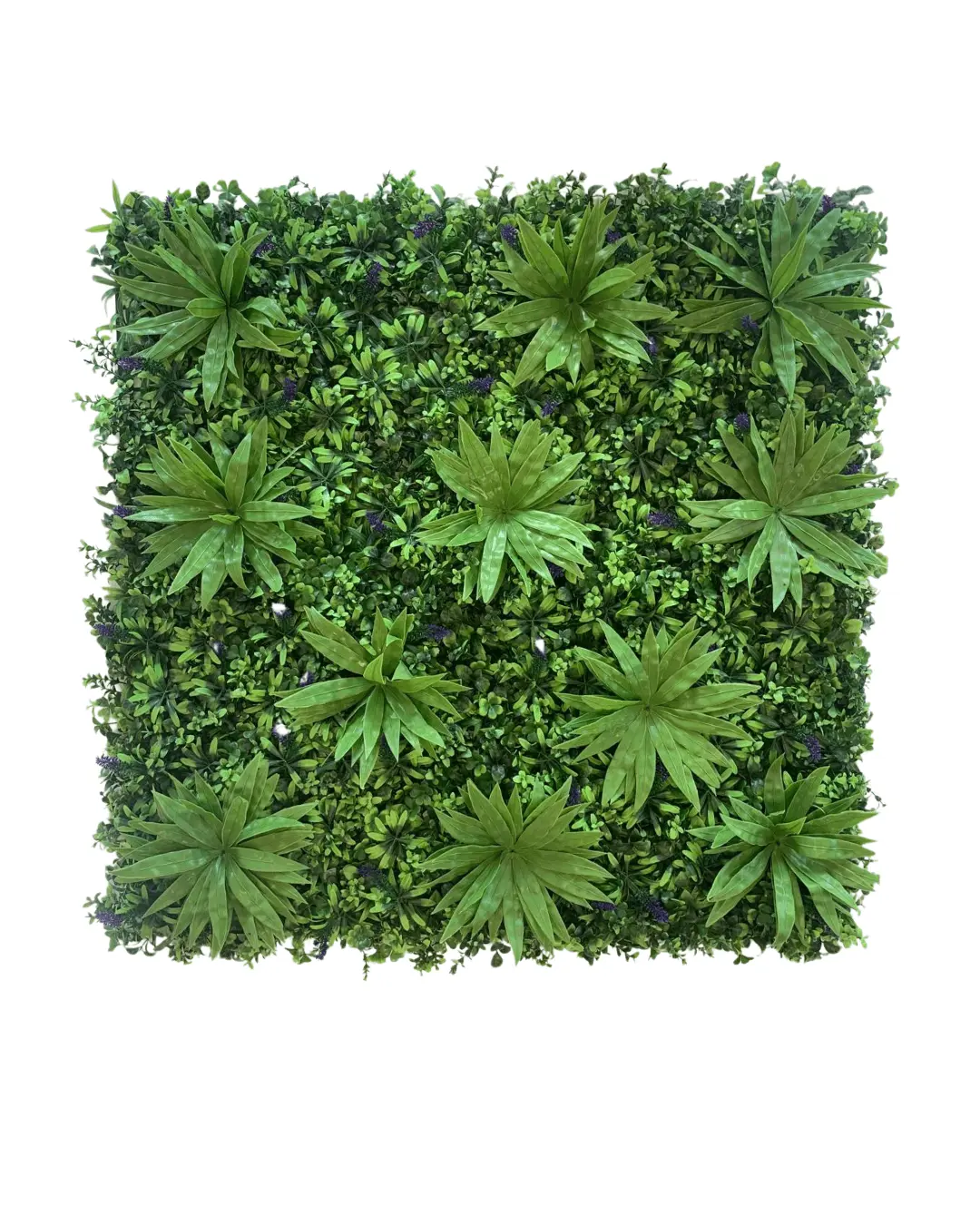 Jardín vertical Aura