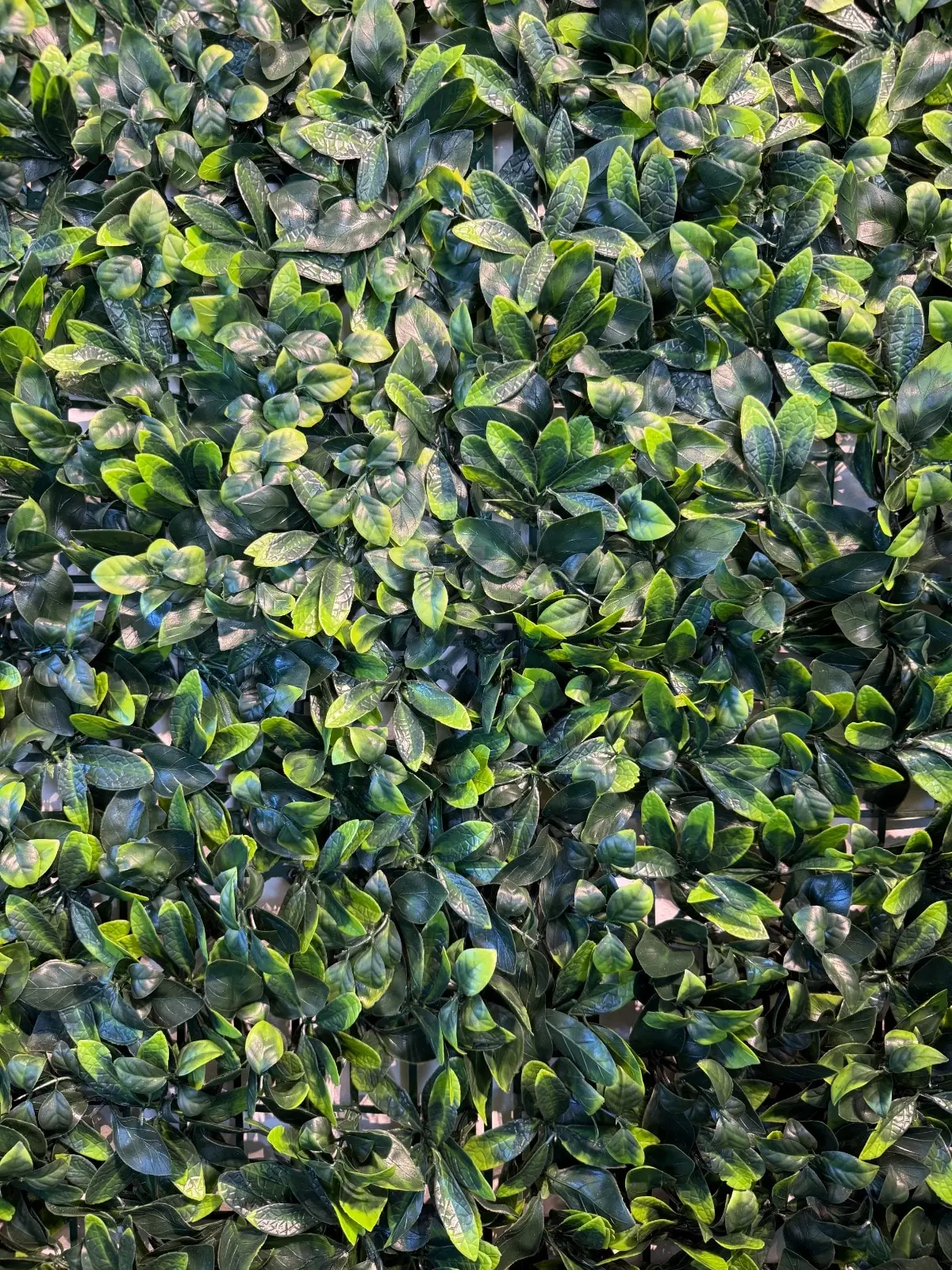 Jardín vertical Verdana